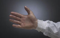 Gloves, Vinyl,Powder Free,BaggedOmni International LLC